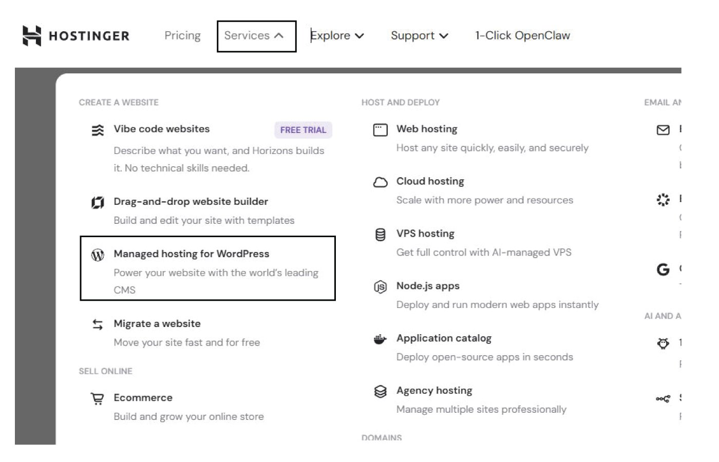 WordPress Hosting Service Provider 