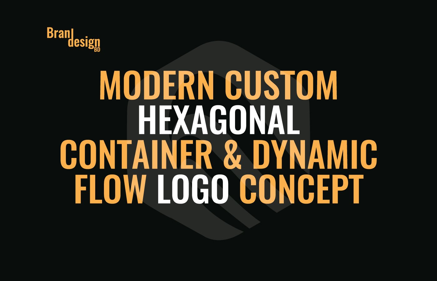 Modern Custom Hexagonal Container & Dynamic Flow Logo Concept